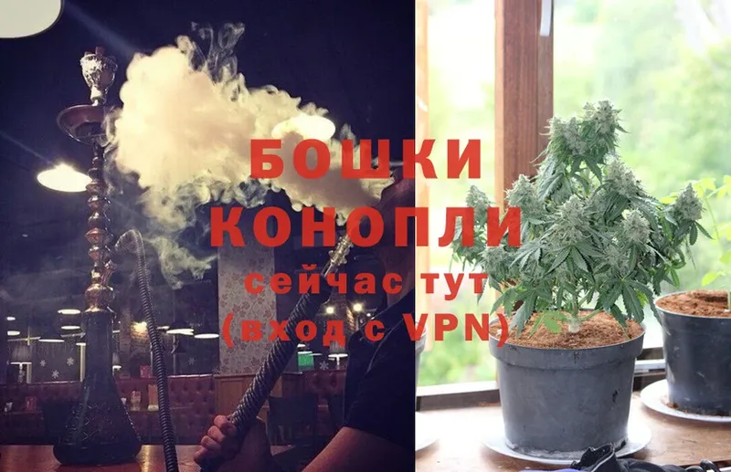 Каннабис SATIVA & INDICA  даркнет сайт  Георгиевск 